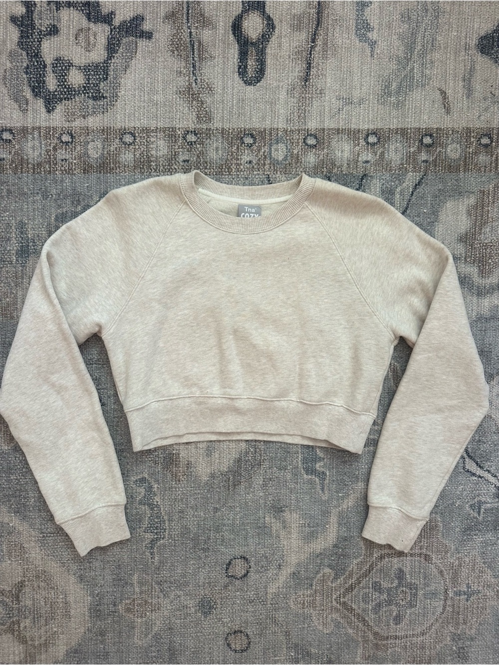 Aritzia TNA Cozy Fleece Crewneck Light Beige